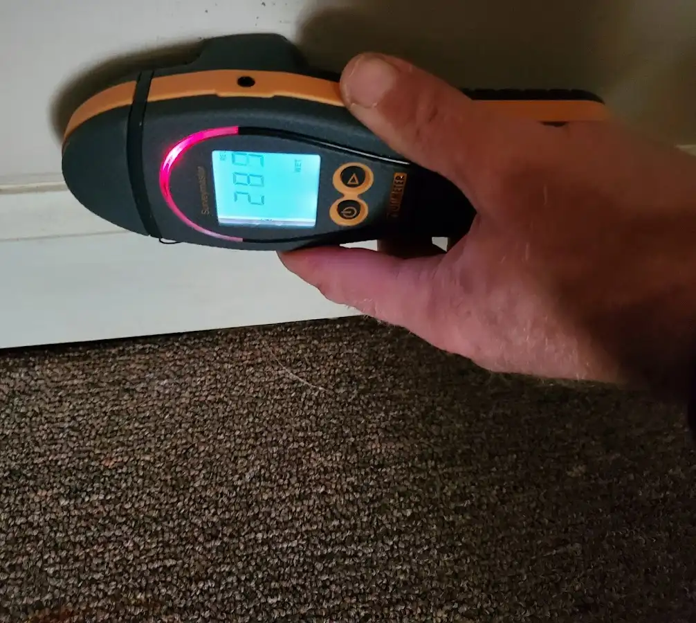 Moisture detection at baseboard during Mold Inspection & Testing in Chesterton